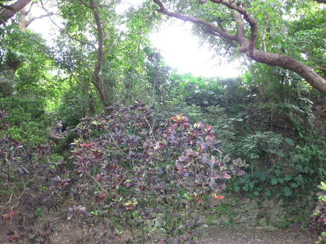 地元の子どもたちがボールをもって遊び場に向かうむたいです。<br />