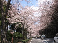 さて、さくら祭りの会場は何処？

イベント会場を探し転がす。

秩父宮記念公園あたり


2009年は、4月10日ごろ満開でしょう。