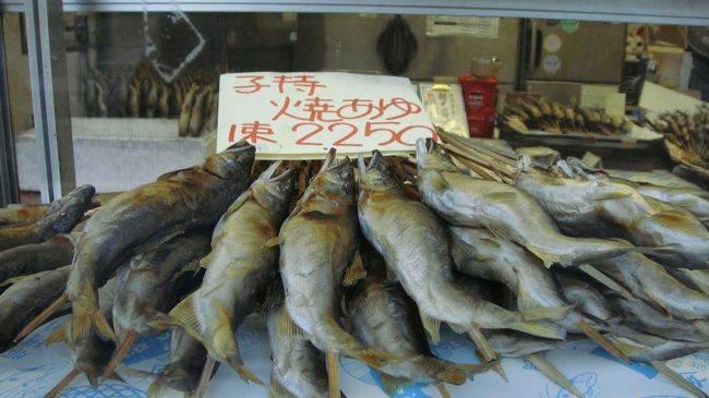 那珂川（中川）は鮎つりで有名です。ウグイ（アイソ）も沢山獲れます。