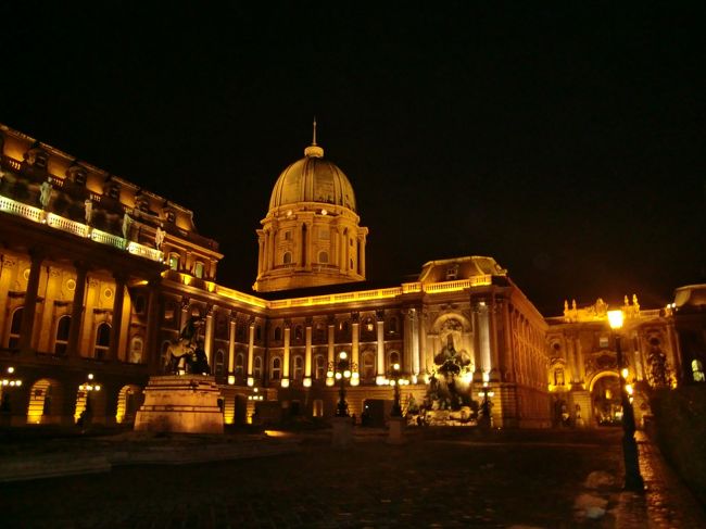 どうしても綺麗に撮れなくてフラッシュを使ったので<br />赤っぽくなってしまいましたが、それでも綺麗ですよね。