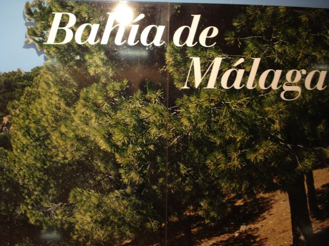 スペイン・マラガ空港に到着です。<br /><br />日本の、仙台・福岡みたいな感じですかね。<br />