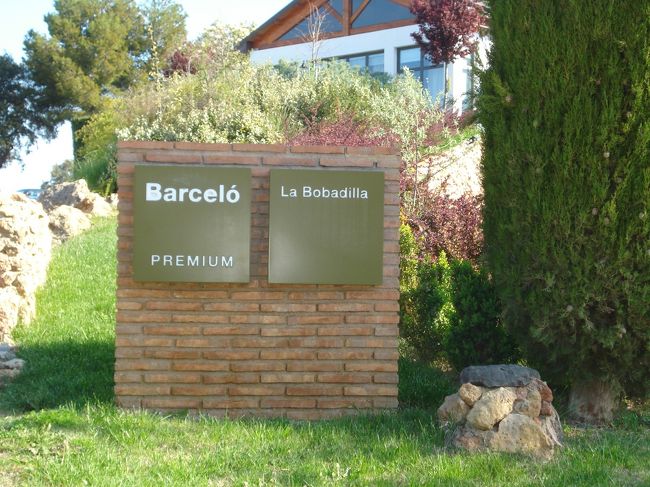 ホテルの名前は...<br /><br />ボバリディーヤホテル<br /><br />http://www.barcelo.com/BarceloHotels/en-GB/Hotels/Spain/Granada/LaBobadilla/Home<br /><br />です。すごかった...<br />