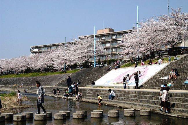 飛び石伝いに、両岸を行き来可能です。<br />