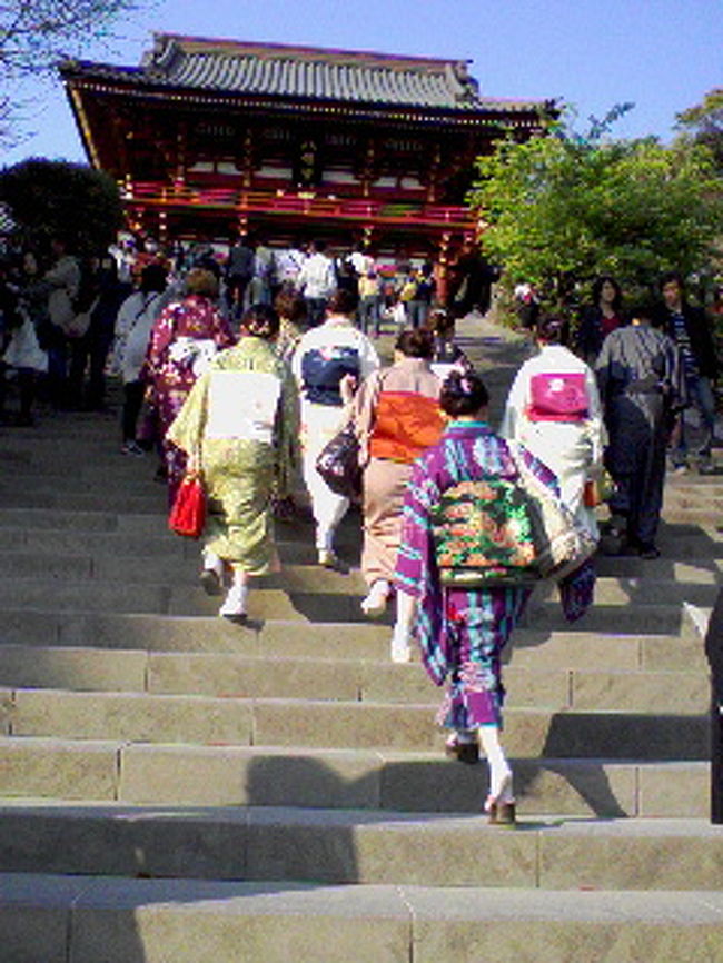 鎌倉 着物でぷらぷら散歩 鎌倉 神奈川県 の旅行記 ブログ By Popico De Poncoさん フォートラベル 鎌倉 着物でぷらぷら散歩 鎌倉 神奈川県 の旅行記 ブログ By Popico De Poncoさん フォートラベル