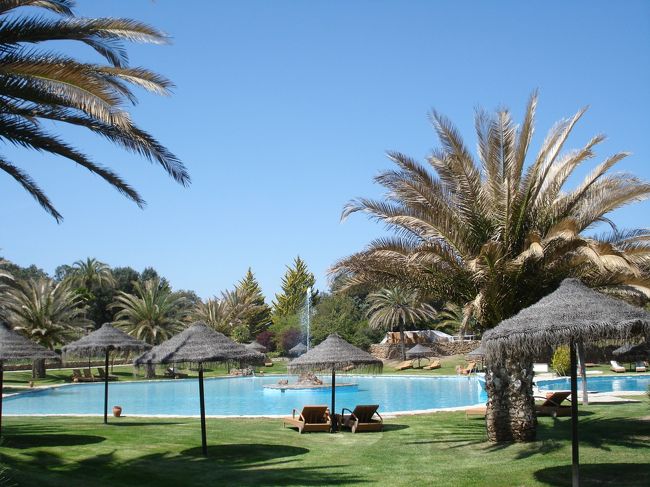 ビーチ発見です。