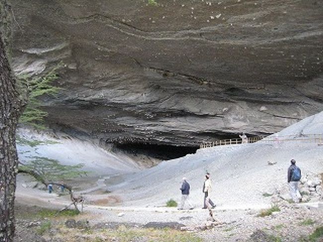 ミロドンはナマケモノというよりクマに似ていると思います。