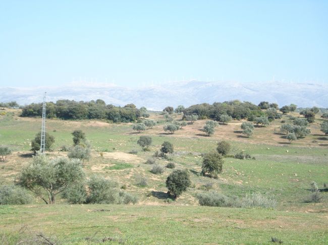 バギーからの写真です。公道は走れないものの、敷地がかなりでかいので、かなり走っているのですが...