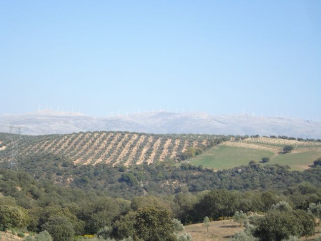 バギーからの風景。<br /><br />