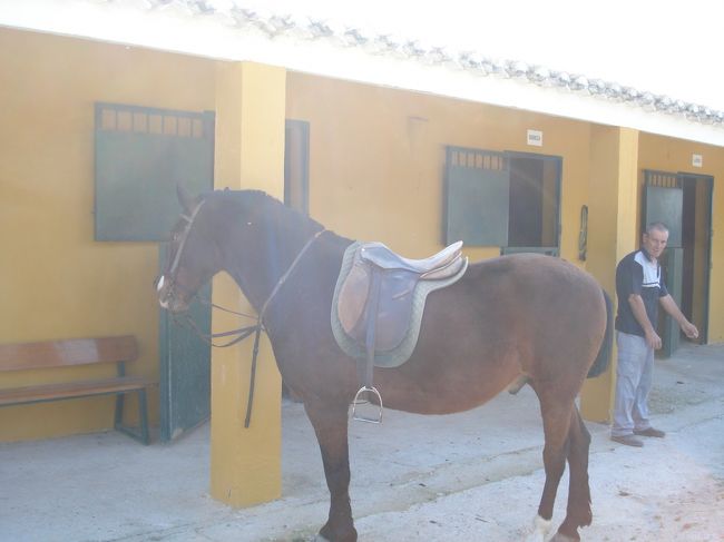 次は乗馬に乗りますが...<br /><br />特に何も説明がなく...<br /><br />スペイン語の話せる妹に通訳してもらっても、<br /><br />止まる時は手綱を引くとだけ...<br /><br />　大丈夫か〜？