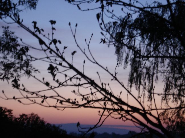 ２日目の朝焼けです。
