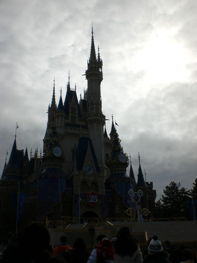 ドリームス ウィズイン Tdlキャッスルショー 東京ディズニーリゾート 千葉県 の旅行記 ブログ By Mochiさん フォートラベル
