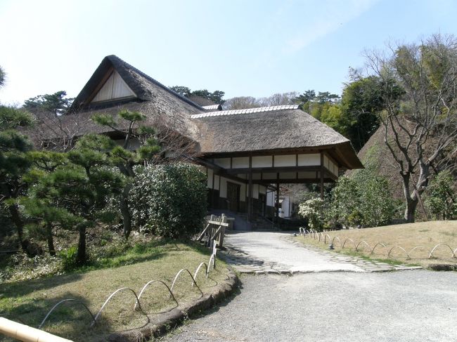 この三渓園を作った原三渓の旧宅、鶴翔閣。<br />この日は結婚式に貸し出されていたため見学できませんでした。<br />･･･って貸し出ししてるの？