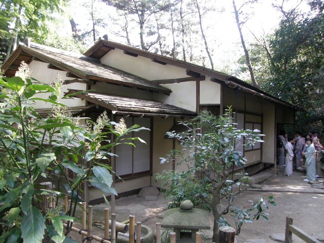 蓮華院。<br />こちらでもお茶会が催されていました。<br />ここももちろん貸し出し施設なんですよー。