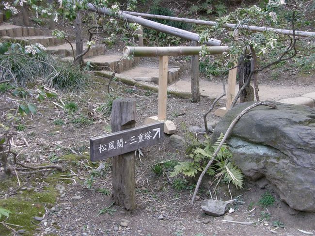 そろそろ三重塔に上ってみましょうかねぇ･･･