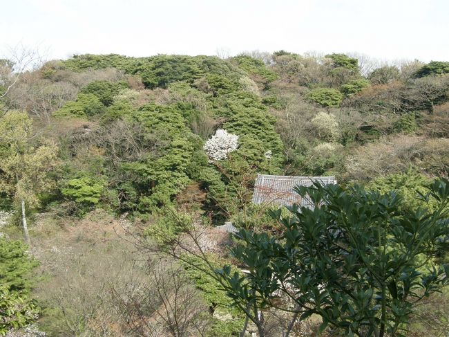 階段の途中から振り返って。