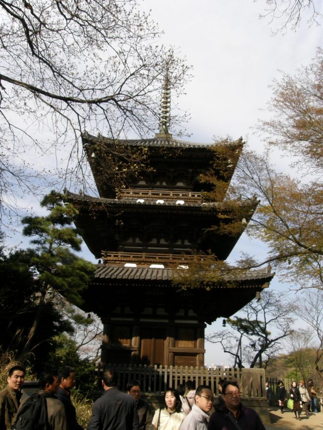 たどり着きました、三重塔。<br />結構ハードなんですよー。