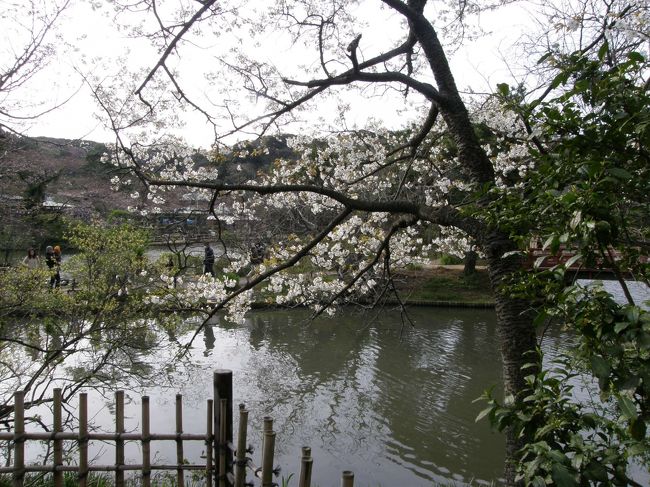 日本の春、という感じですなぁ。