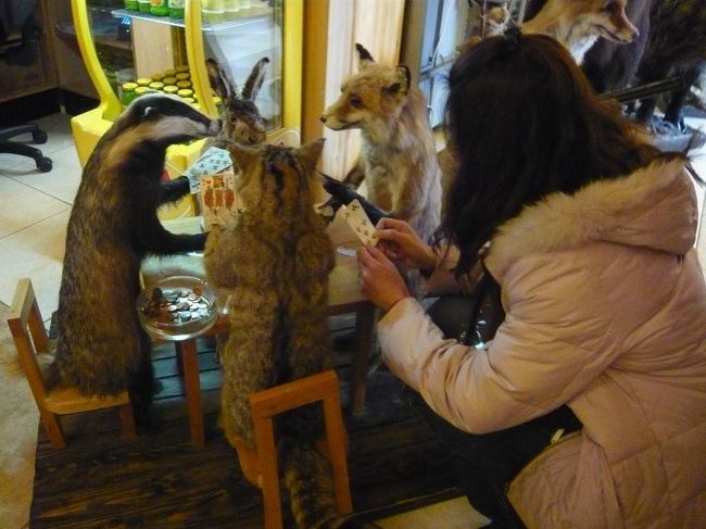 楽しそうなので　仲間に入ったりして♪