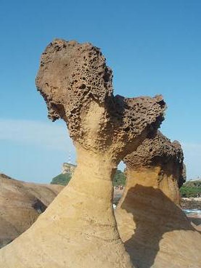 そのうち、折れちゃいそうで心配・・・