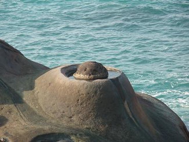 コレも、波に侵食されて周りだけ削られたみたい。