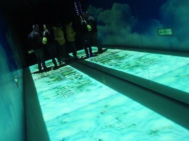 ここは、地面が透けて空中散歩してるような空間が味わえるとこです。