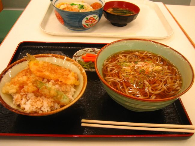 こんなに時間をかけて花を愛でたのは初めてです。<br />この後、海岸線をドライブし、帰路に着きましたが、この辺りは海水浴客目当てのお店が多いようで、<br />冬場はほとんど閉まってました。<br />美味しい海鮮をという目論見は脆くも崩れ、SAにて寂しくお蕎麦を頂きました。<br />