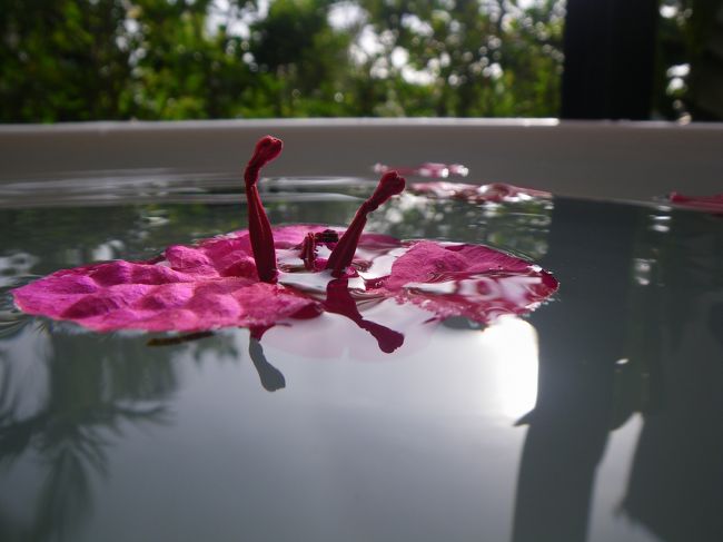 ジャグジーにて