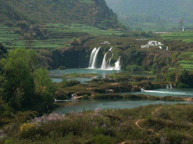 杏なのか桃なのか、ブルーの水に映えていた。