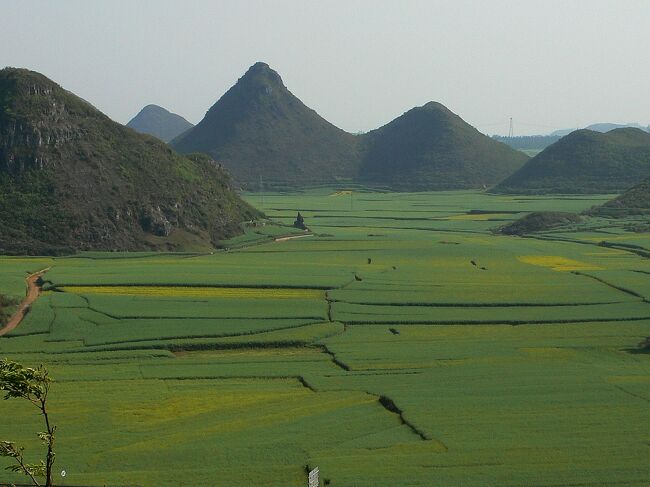 展望台からの眺望<br /><br />菜の花が満開なら黄色い海が広がっていることだろう。<br />