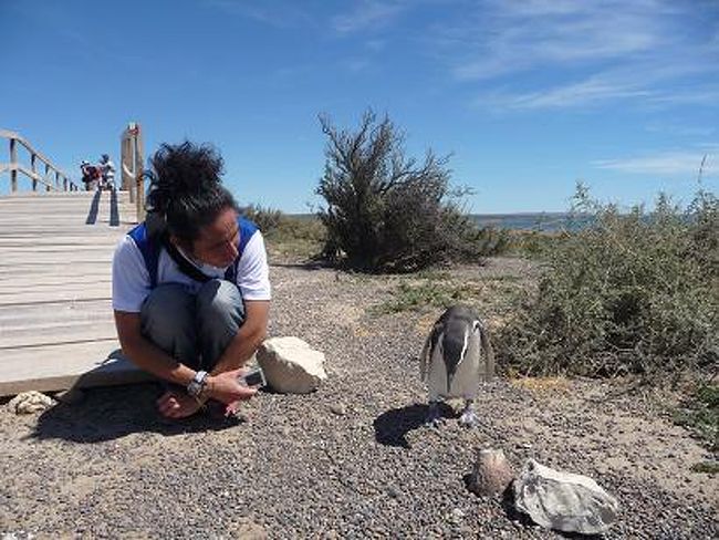 「いや、あの…<br />　そんなに熱い眼差しで見られると…<br />　照れちゃう♥」<br /><br />にらめっこは人間の勝利！！