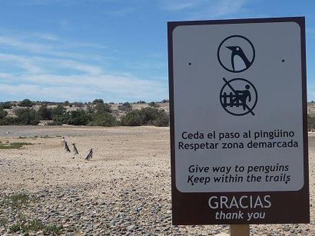 保護区内にたてられている看板。<br /><br />「ふっふっふっ。<br />　ここは君達人間が入れない安全エリアなのだよ。」<br /><br />　　　　　　　　　　　　　by　ペンギン<br />