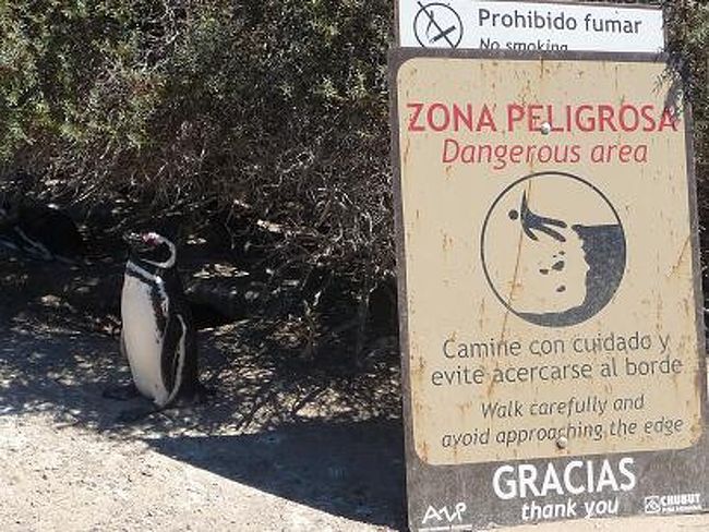 「俺様のかわいさに見とれてると怪我するぜ！！」<br /><br />という看板。<br />この少し先に絶好のビューポイントがあるので<br />早めの警告らしい。<br />