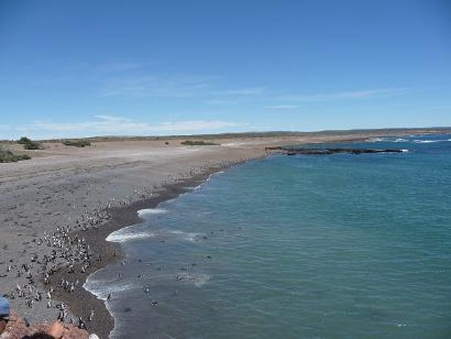 青い海と青い空のペンギン天国　その?<br /><br />崖の上のビューポイント。<br />人間は崖の上から双眼鏡で観察。<br />すぐ下に大量のペンギン達が見える。<br /><br />ペンギン天国なので、<br />人間用の柵などの安全対策はない。<br />つまずいたり、撮影に夢中になりすぎると<br />上の看板どおりになること間違いなし！！