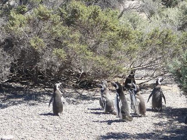 「おい、野郎共。ひとっ風呂浴びに行くぜ！！」<br /><br />「へい、親分。」<br />