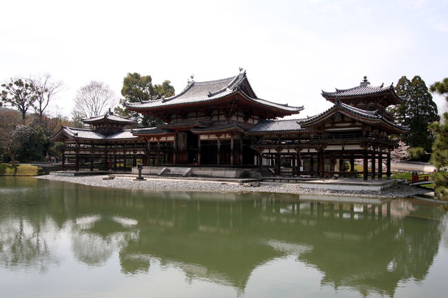 平等院です。<br />高校の修学旅行以来。久しぶりの訪問ですが、もう16、7年前なので、殆ど記憶が無いですね。<br />当時は、建物見るより友達とワイワイ騒いでる方が楽しかったからなぁ。<br />今では景色や風景、趣のある建築物を見るのが好きで、心が落ち着きますね。<br />こういう日本の文化・遺産を今後も見て行きたい。