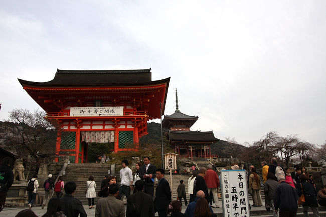 清水寺にやって参りました。<br />いやぁ〜今日はもの凄く歩いています。<br />普段デスクワークですので、歩きすぎて足が痛いです。<br />せっかく歩いてきたのですが、桜は・・・<br />2、3部咲きってところでしょうか。