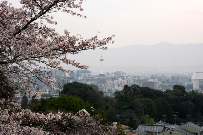 少し霞んでますが、京都の中心部が見えました。