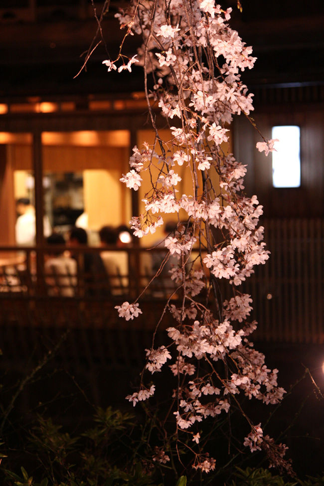 祇園白川です。<br />いかにも祇園って感じに思いません？<br />どんなお店なのでしょうかねぇ。<br />いったいいくら取られるんでしょうね。<br />気になるなぁ。知りたいなぁ。<br />まー自分には一生縁の無い場所でしょうが。