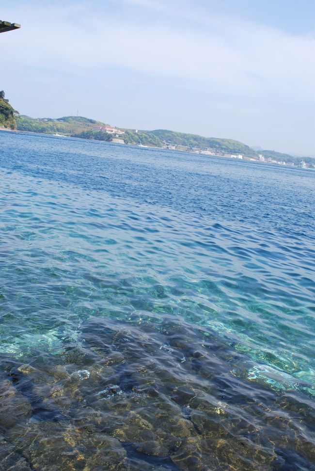 海の水はきれい