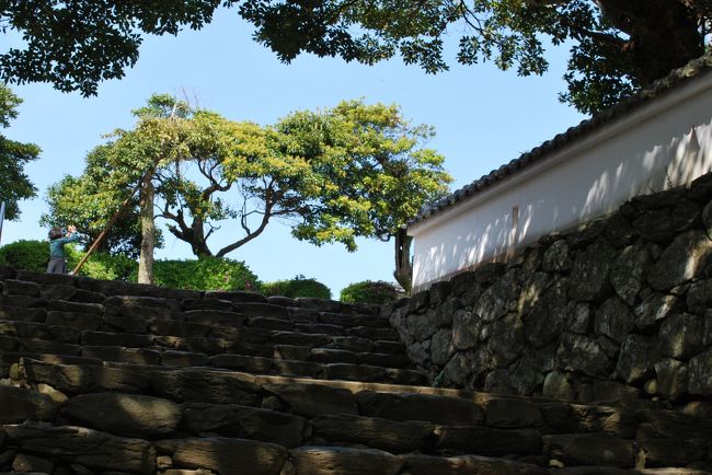 1412　運転手さんが間に合うから平戸城も見て行けというので，5分ほど階段を上がることにした．　<br />時間がないので必死に駆ける．心の底ではそこまでしてコンクリートの城を見ることないと思いつつ上る．