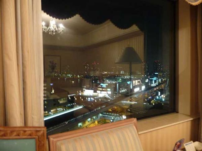 窓からの夜景はこんな感じ。