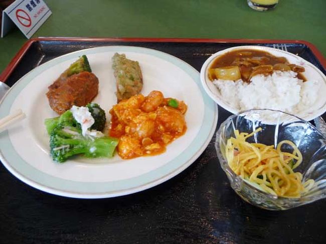 汐留ビルディングに車をとめたら<br />観劇まえにランチをいただきます。<br /><br />四季劇場のお隣の「芝・弥生館」のパステル亭のランチブッフェ。<br />ここは12階なので窓の外は海が一望できる、ナイスロケーション。<br />残念ながら窓側の席は埋まってましたが・・・。<br /><br />メニューは和・中華・カレー？<br />品数自体は決して多くなく、私の盛り付けセンスの無さのせいで<br />あまり良く見えないかもですが、美味しいです！<br /><br />ブッフェって、あまり美味しくないものでお腹を満たすような感じで特別好きじゃないんですが、<br />ここのはかなり満足。しかも一人１２００円。<br />(駐車場1400円　昼食＝2400円)