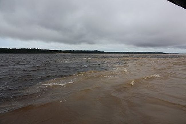 ネグロ川とソリモインス川がここで合流しています。黒いのがネグロ川、茶色がかっているのがソリモインス川です。