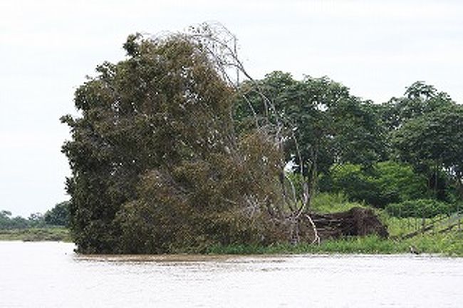 次の日は川を上って行きました。