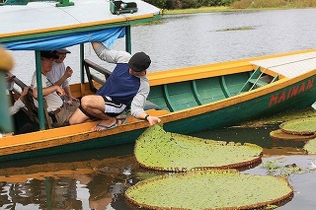 ガイドが持ち上げて裏を見せてくれました。