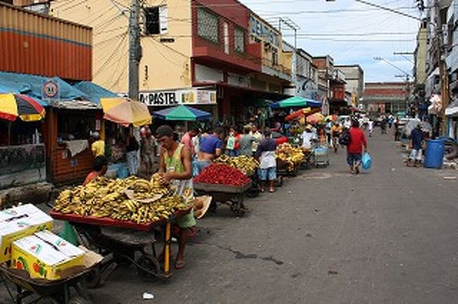 ここは果物のフェイラです。