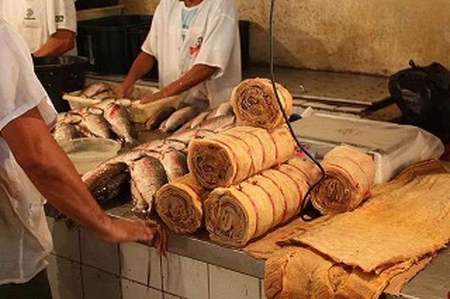 これは世界最大の淡水魚ピラルクを乾燥させてロールにしたものです。<br />ちなみにピラルクの刺身はとても美味しいです。＊注ここで刺身は食べれません。