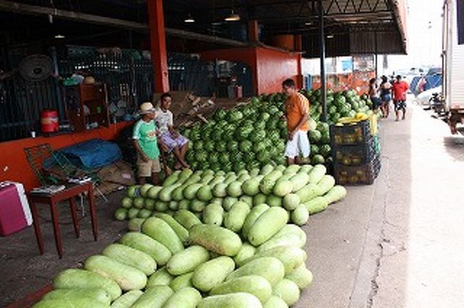 外にはたくさんの巨大スイカ