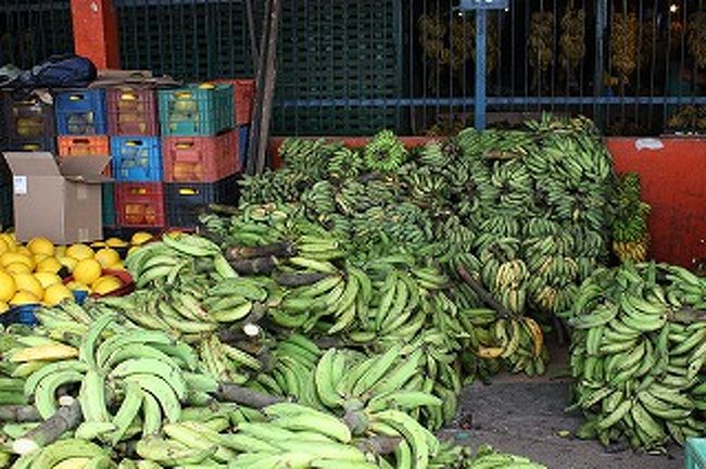 バナナもこれでもか！！