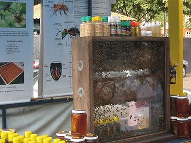 街にははちみつも売っています。